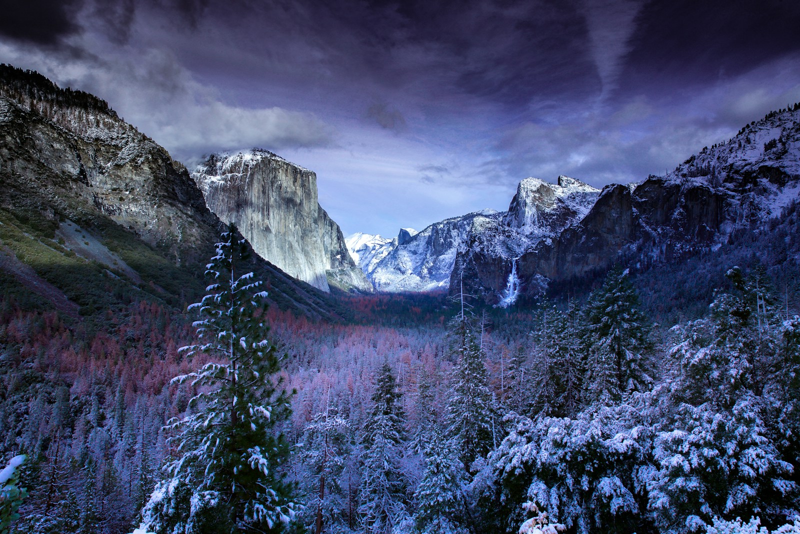 photo of mountains and trees