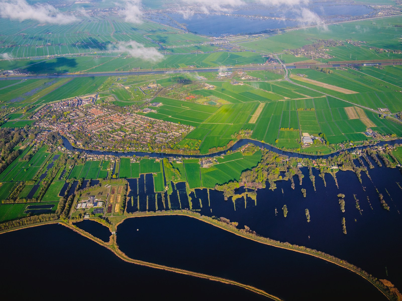 aerial view of green field