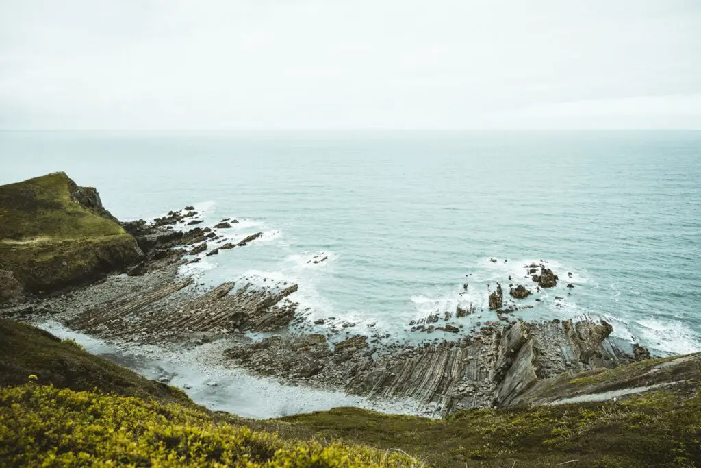 green grass on rocky shore during daytime