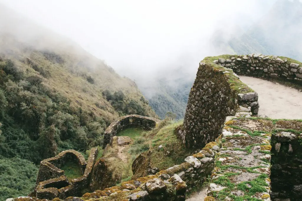 green grass mountain with fog