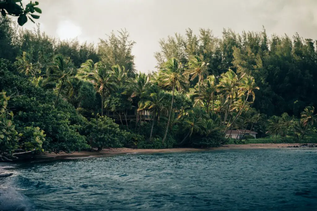 A body of water surrounded by lush green trees