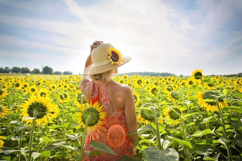 woman, flower background, sunflowers