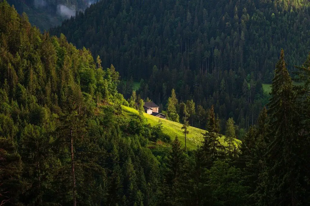 mountain, house, pine